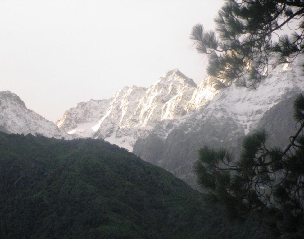The Citadel Resorts, Jiya Palampur Exterior photo