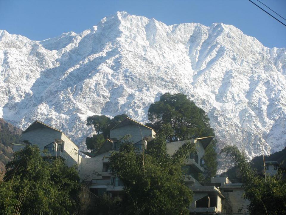 The Citadel Resorts, Jiya Palampur Exterior photo