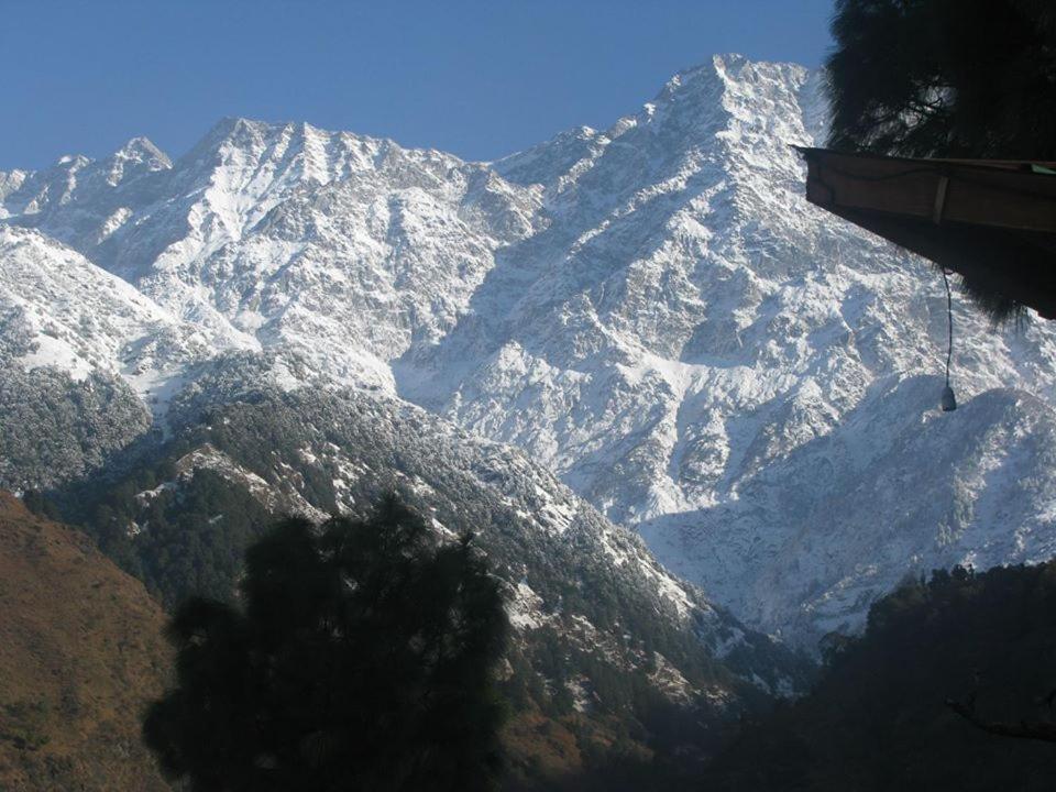The Citadel Resorts, Jiya Palampur Exterior photo
